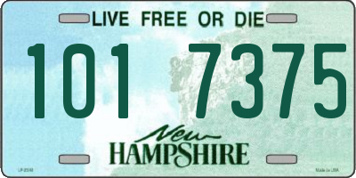 NH license plate 1017375