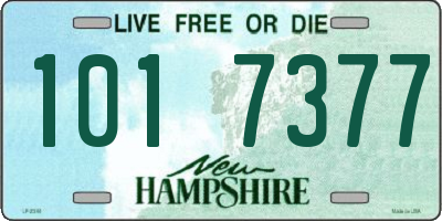 NH license plate 1017377