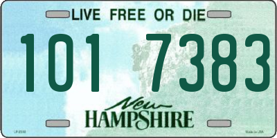 NH license plate 1017383