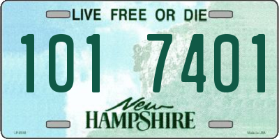 NH license plate 1017401