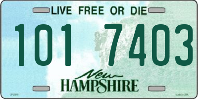 NH license plate 1017403