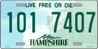 NH license plate 1017407