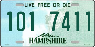 NH license plate 1017411