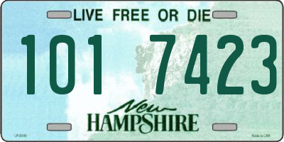 NH license plate 1017423