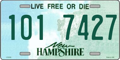 NH license plate 1017427