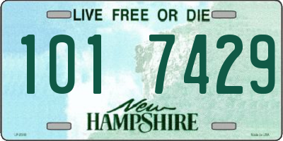 NH license plate 1017429