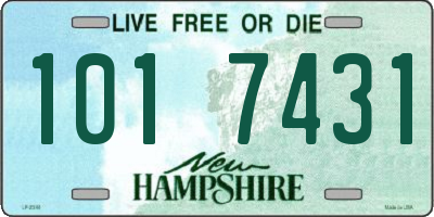 NH license plate 1017431