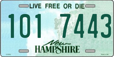 NH license plate 1017443