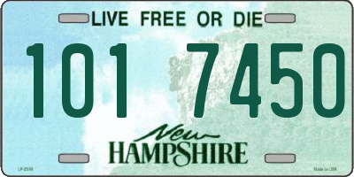 NH license plate 1017450