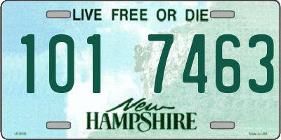 NH license plate 1017463