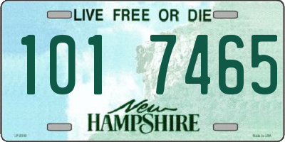 NH license plate 1017465