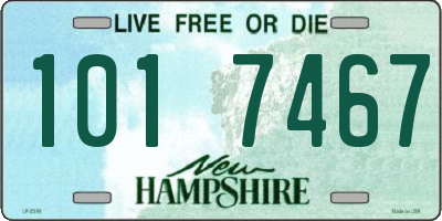 NH license plate 1017467