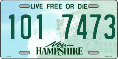 NH license plate 1017473