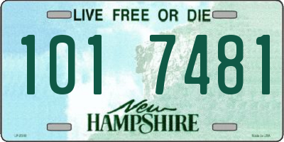NH license plate 1017481