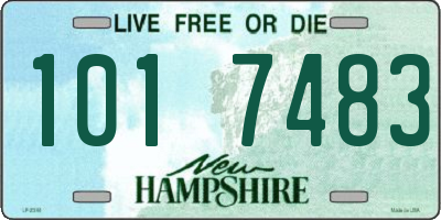 NH license plate 1017483