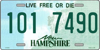 NH license plate 1017490