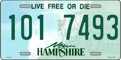 NH license plate 1017493