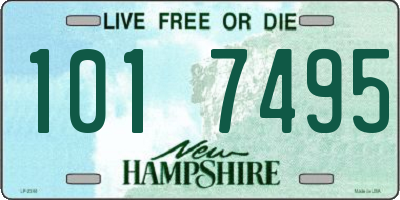 NH license plate 1017495