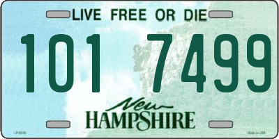 NH license plate 1017499