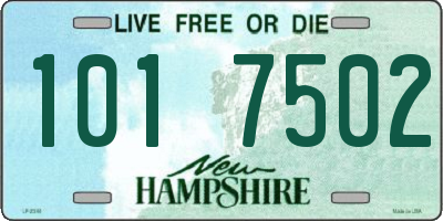 NH license plate 1017502