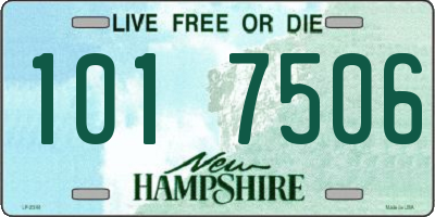 NH license plate 1017506