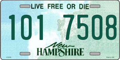 NH license plate 1017508