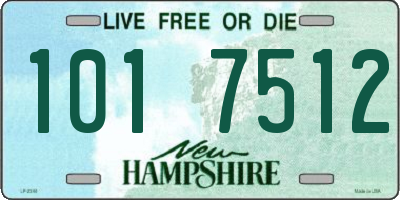 NH license plate 1017512