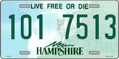 NH license plate 1017513