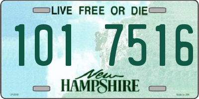 NH license plate 1017516