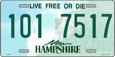 NH license plate 1017517