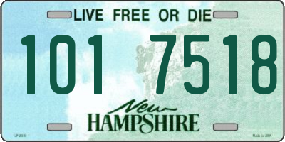 NH license plate 1017518