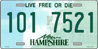 NH license plate 1017521