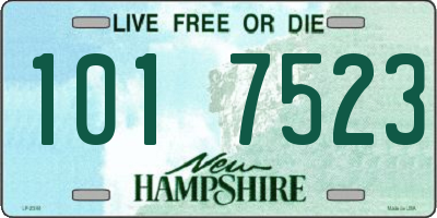 NH license plate 1017523