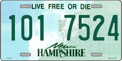 NH license plate 1017524