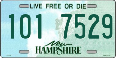NH license plate 1017529