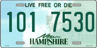 NH license plate 1017530