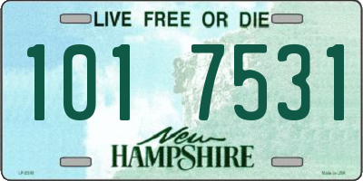 NH license plate 1017531