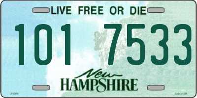 NH license plate 1017533
