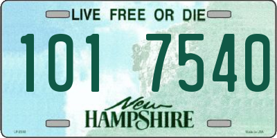 NH license plate 1017540