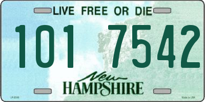 NH license plate 1017542