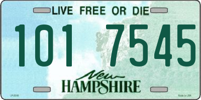 NH license plate 1017545