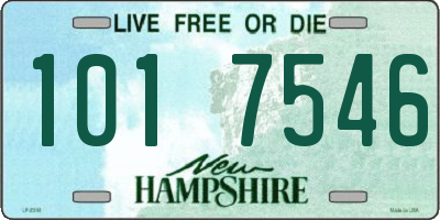 NH license plate 1017546