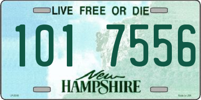 NH license plate 1017556