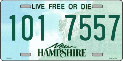 NH license plate 1017557