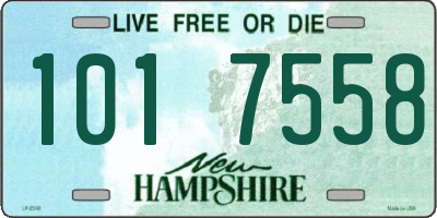 NH license plate 1017558