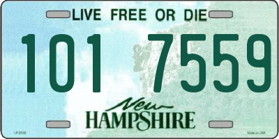 NH license plate 1017559