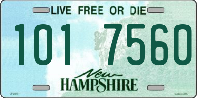 NH license plate 1017560