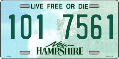NH license plate 1017561