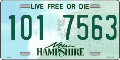 NH license plate 1017563