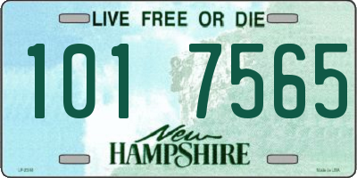 NH license plate 1017565